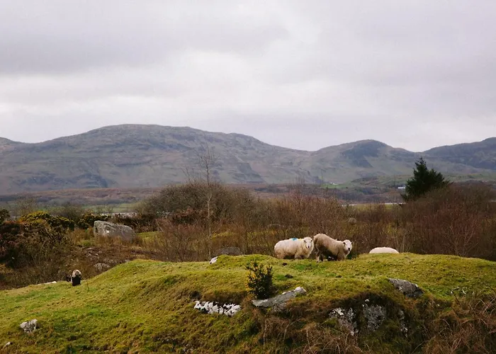 Dom wakacyjny Sandfield View *